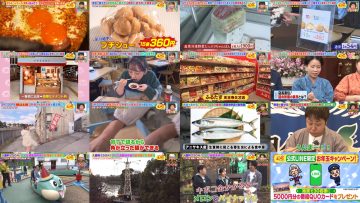 260130 Osaka Honwaka TV – ex-NMB48 Shibuya Nagisa – FHD.mp4