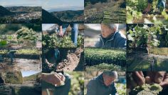 260201 Yutaka na Shoku no Mirai wo Sagashite – ex-Keyakizaka46 Nagahama Neru – FHD.mp4