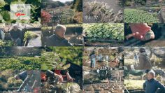 260208 Yutaka na Shoku no Mirai wo Sagashite – ex-Keyakizaka46 Nagahama Neru – FHD.mp4