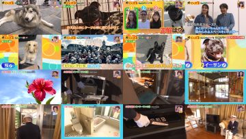 260214 Doyou wa Dameyo! – NMB48 Abe Wakana, Mikamo Kurumi – FHD.mp4