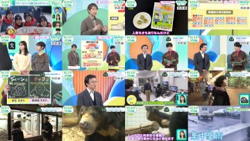 260214 Shuukan Jouhou Chaaji! – ex-NMB48 Shibuya Nagisa – FHD.mp4