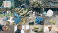 260215 Yutaka na Shoku no Mirai wo Sagashite – ex-Keyakizaka46 Nagahama Neru – FHD.mp4