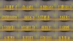 260220 Nearly Equal JOY YouTube Channel – Nearly Equal JOY – FHD.mp4