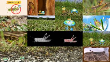 260228 Monosugoi Zukan 0935 – ex-AKB48 Kawaei Rina – FHD.mp4