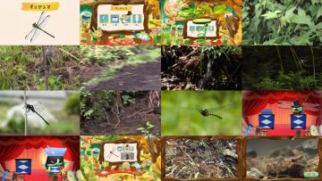 260228 Monosugoi Zukan 0945 – ex-AKB48 Kawaei Rina – FHD.mp4