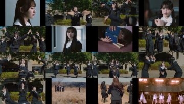 260228 Rain Tree YouTube Channel – Rain Tree – FHD.mp4