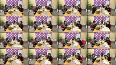 260314 Tokai Radio [SKE48 1 + 1 + 1 wa 3 Janaiyo!] – FHD.mp4